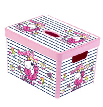 20 lt Decorated Box